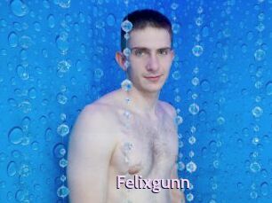 Felixgunn