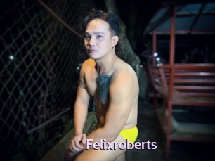 Felixroberts