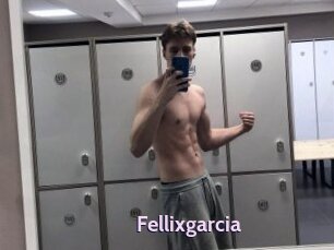 Fellixgarcia