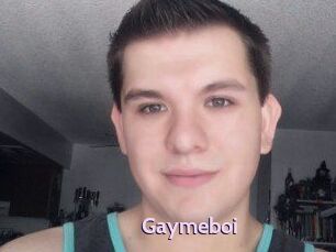 Gaymeboi