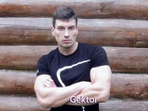 Gektor