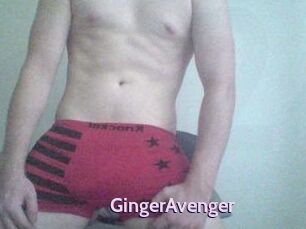 GingerAvenger