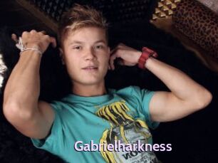 Gabrielharkness