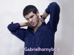 Gabrielhornyboy