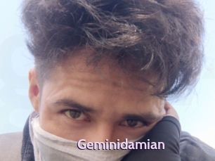 Geminidamian