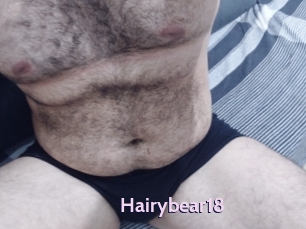 Hairybear18