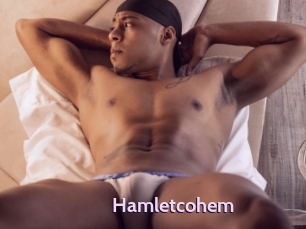 Hamletcohem