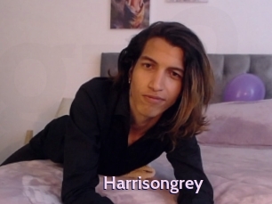 Harrisongrey