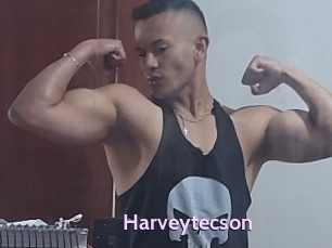 Harveytecson