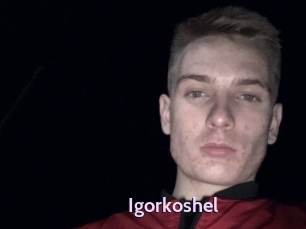 Igorkoshel