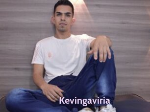 Kevingaviria