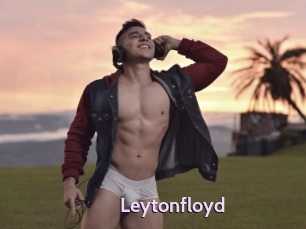 Leytonfloyd