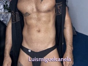 Luismiguelcanela