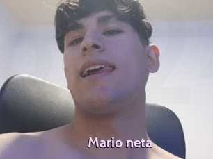 Mario_neta