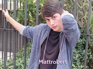 Mattrobert