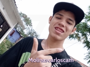 Molinascarloscam