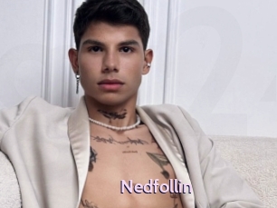 Nedfollin