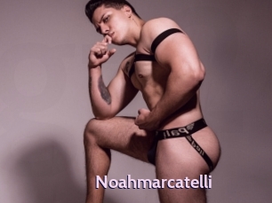 Noahmarcatelli