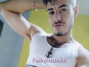 Pedromancini