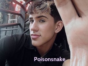 Poisonsnake