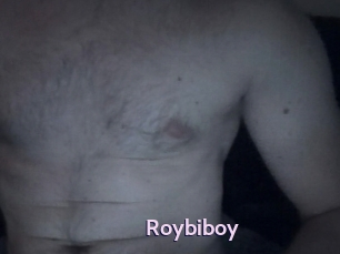 Roybiboy