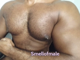 Smellofmale