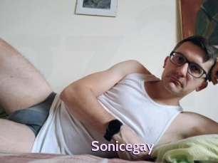 Sonicegay