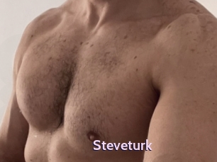 Steveturk