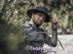 Teddysteel