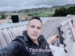 Tommybello