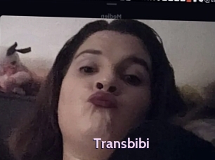 Transbibi