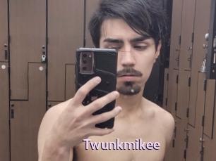 Twunkmikee