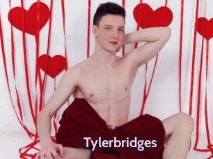 Tylerbridges