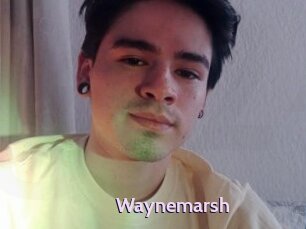 Waynemarsh