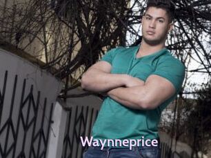 Waynneprice