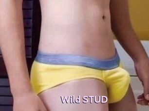 Wild_STUD