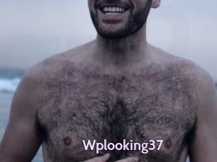 Wplooking37