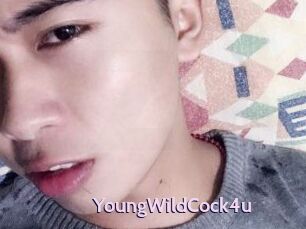 YoungWildCock4u