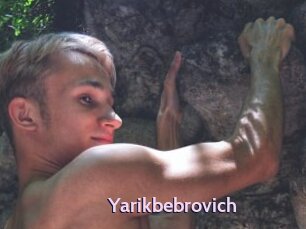 Yarikbebrovich