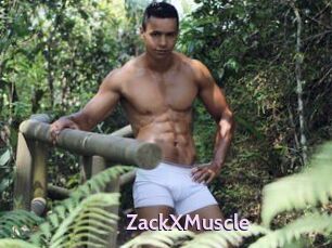 ZackXMuscle