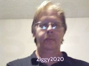 Ziggy2020