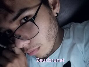 Zeusbrunet